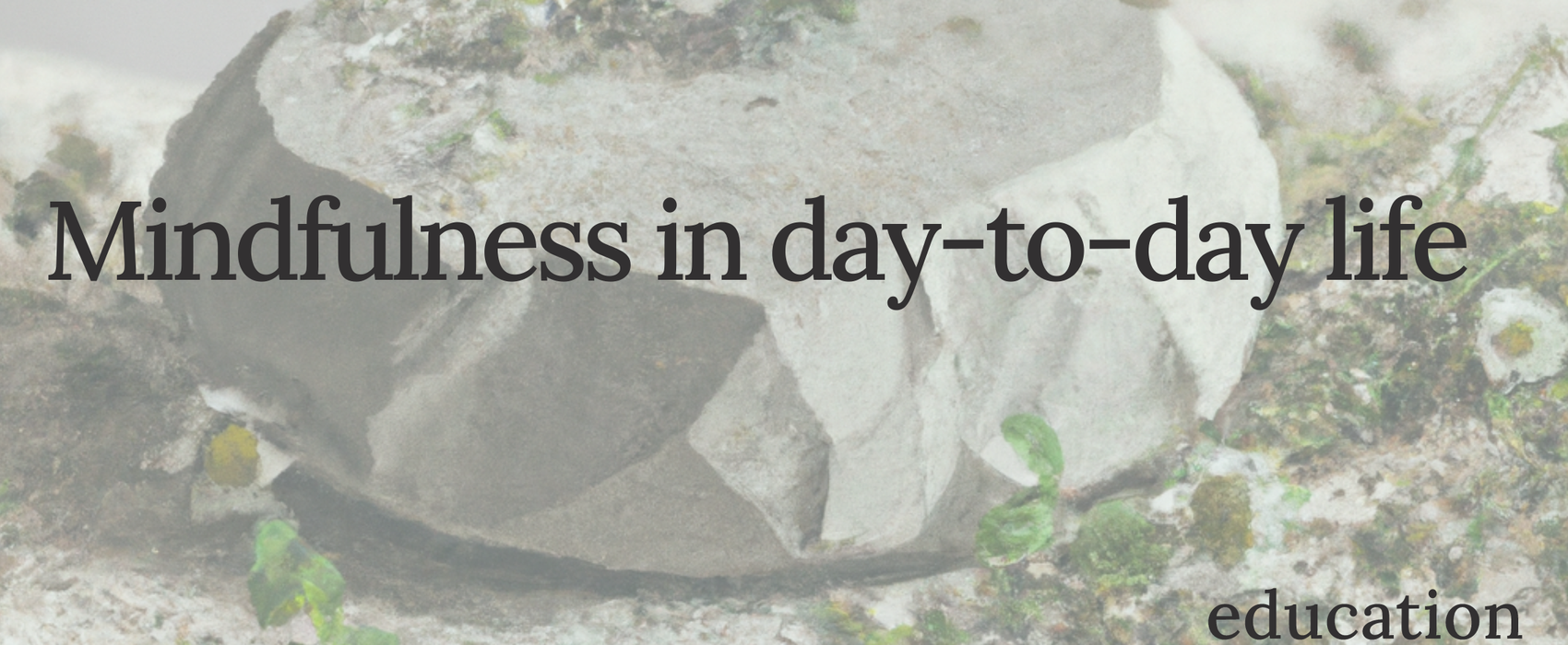 Mastering mindfulness in day-to-day life with humor and ease